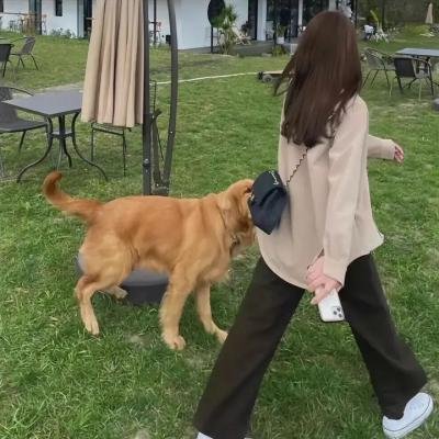 爱...没有距离